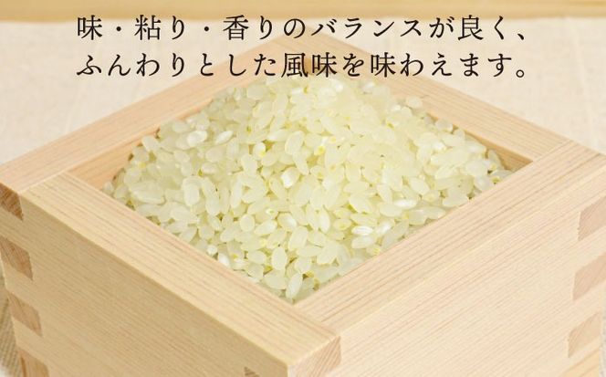 【令和7年産】糸島産 ヒノヒカリ 5kg 糸島市 / 糸島王丸農園 ( 谷口汰一 )【いとしまごころ】[AAZ010]