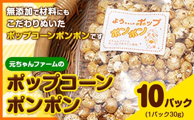 ポップコーンポンポン 元ちゃんファーム《30日以内に出荷予定(土日祝除く)》 和歌山県 紀の川市 トウモロコシ 菓子 ポップコーン 送料無料---wsk_gncpcpp_30d_22_14000_300g---