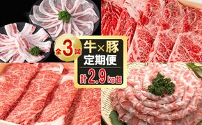 【定期便全3回】贅沢！国産黒毛和牛・豚肉定期便(3ヶ月連続・総量2.9kg以上) t0043-002