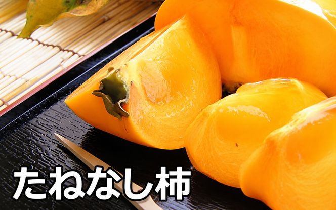 採れたてタネなし柿“2L”サイズ7.5kg＜2026年10月中旬～10月下旬頃発送予定＞【art020A】