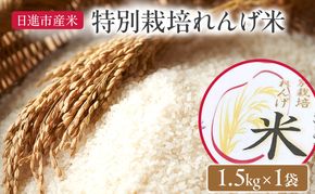 お米 特別栽培れんげ米 日進市産米 1.5kg×1袋 米 コメ 精米 白米 あいちのかおり 特別栽培米 れんげ草 日進市 愛知県