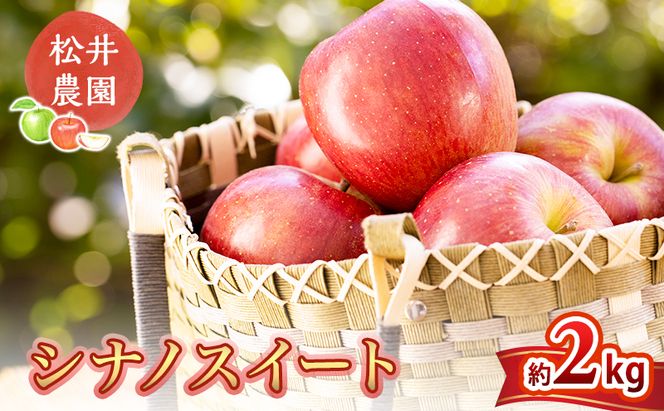 信州小諸　松井農園のシナノスイート　約2kg 果物類・林檎・りんご・リンゴ