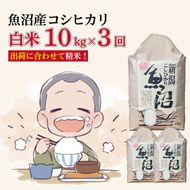 【3か月定期便】令和7年産　魚沼産コシヒカリ 精米10kg×3回　計30kg　米 コメ こしひかり 精米 ブランド米 お取り寄せ 十日町市