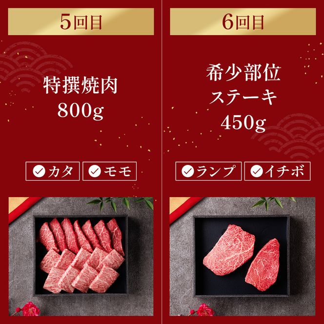 肉【定期便全6回】【和牛セレブ】能登牛 定期便「ビジネスクラス」特選 しゃぶしゃぶ すき焼き 焼肉 ステーキ ギフト 石川県 能美市 172111_DB045