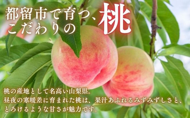 【2027年 先行予約】 山梨県都留市産　朝採れ桃 約1.5kg 以上(５～７玉）　FF008