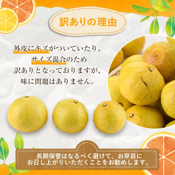 ＜先行予約受付中！2027年2月上旬以降順次発送予定＞訳ありはるか(約6kg) 国産 鹿児島県産 果物 フルーツ 柑橘 みかん はるか【松永青果】akn053-40