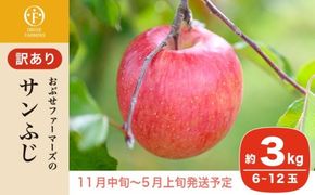 【訳あり】 サンふじ 約3kg 6～12玉［おぶせファーマーズ］ 不揃い 規格外 家庭用 りんご 林檎 リンゴ 果物 フルーツ ふじ 長野 信州 数量限定 【2024年11月中旬～2025年5月上旬発送】［FH-51］