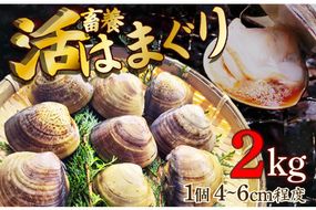 畜養活はまぐり 2kg　蛤 魚介類 魚貝 殻付 貝 海鮮 新鮮 貝類 ハマグリ 肉厚 酒蒸し お吸い物 炊き込みご飯 バーベキュー BBQ MN00037