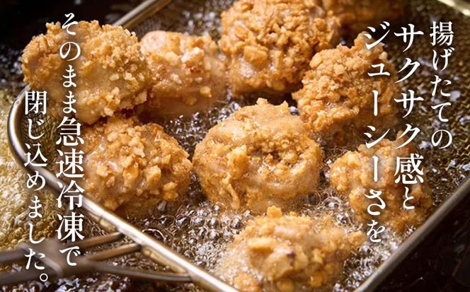 【湯煎でからあげ】岐阜せんから清流美どりからあげ　5個【約200g】  [No.1128]