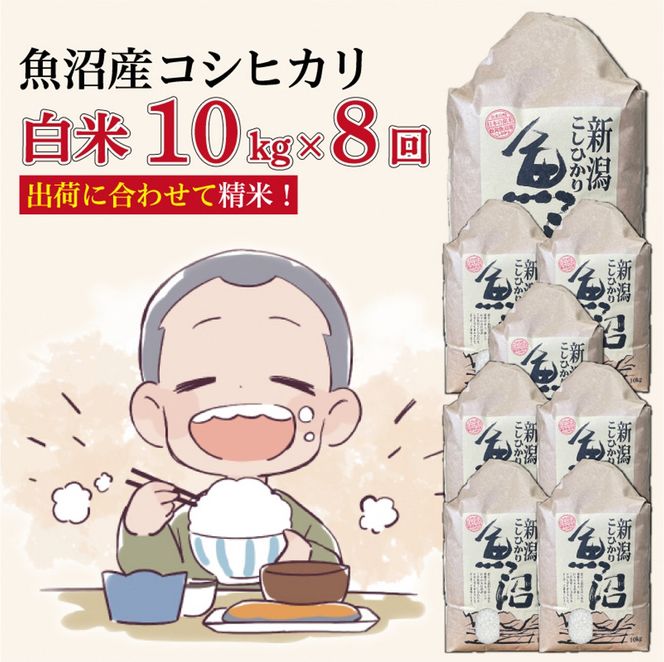 【８か月定期便】令和８年産新米　魚沼産コシヒカリ 精米10kg×８回　計80kg