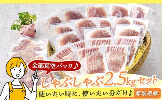 「おさつポーク」しゃぶしゃぶ2.5kgセット(真空パック)_18-1402_(都城市) 豚肉 豚肉セットおさつポーク スライス ロース/肩ロース バラしゃぶ モモしゃぶ 小分け 真空パック 100g×25P 合計2.5kg 肉 しゃぶしゃぶ さつまいも育ち