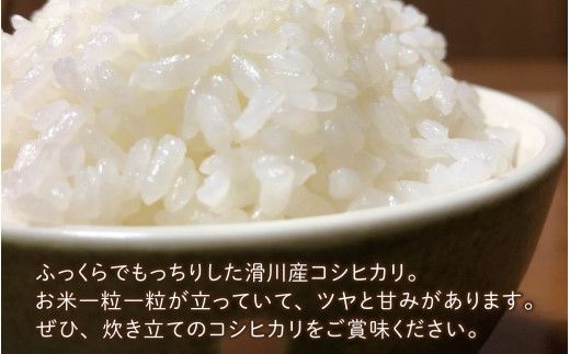 滑川産コシヒカリ（精米10kg）[C-007002]