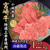 【新鮮チルド発送!!】A5等級宮崎牛特選上赤身焼肉 1.2kg（黒毛和牛 牛肉 宮崎牛 赤身 焼肉用 宮崎県）