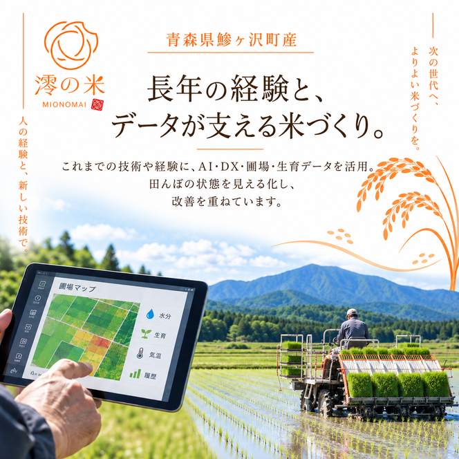 【6回定期便】米 5kg 無洗米 まっしぐら イワモトファーム 青森県産 令和8年産 6ヶ月 定期便 新米 ごはん ご飯 節水 時短 手軽 ブランド米 直送 農家直送 お取り寄せ お米 こめ コメ 白飯 国産 お弁当 冷めてもおいしい 送料無料