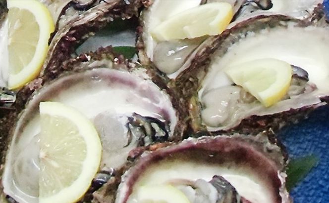天然 岩ガキ 活さざえ セット 詰め合わせ 若狭湾産 カキ 牡蠣 活 さざえ サザエ 貝 貝類 魚介 魚介類 海鮮 海鮮セット 新鮮 福井 福井県 若狭町