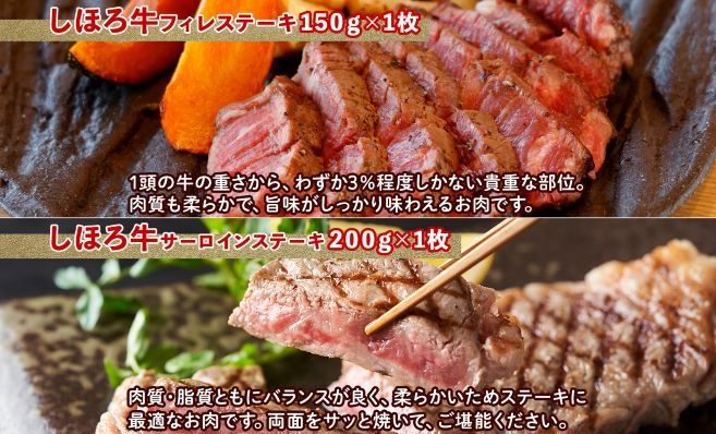 数量限定 12月発送 食べ尽くし 福袋 4種 しほろ牛 フィレ サーロイン ステーキ 切り落とし ハンバーグ 牛肉 肉 惣菜 お惣菜 詰め合わせ セット お取り寄せ 道の駅 ピア21しほろ 送料無料 北海道 十勝 士幌町【L910】