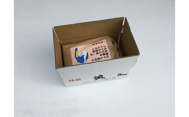 米 コシヒカリ みなみ米 5kg 九十九里産 お米 白米 精米 ご飯 ブランド米 産地直送 送料無料 こめ コメ おこめ ごはん こしひかり 千葉 千葉県 九十九里 九十九里町