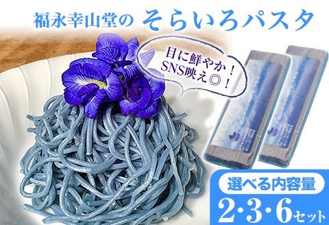 御船町 福永幸山堂のそらいろパスタ 選べる 2セット 3セット 6セット[30日以内に出荷予定(土日祝除く)]熊本県 御船町 福永幸山堂 パスタ 青いパスタ---sm_sorapt_30d_23_7500_2p---