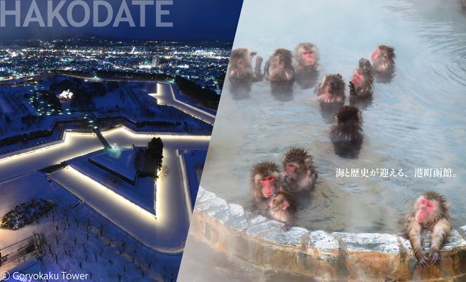 【北海道ツアー】北海道 函館市 旅行クーポン 60,000円分 温泉 観光 旅行 ホテル 旅館 老舗 高級 トラベル チケット 家族 カップル 宿泊 予約 おすすめ 父の日 母の日 旅行券 宿泊券_HD233-001
