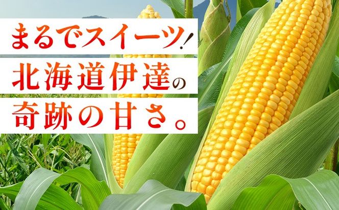 ＜2026年7月中旬〜順次お届け＞ スイートコーン・恵味（2Lサイズ）【dnk-003】とうもろこし コーン スイートコーン 野菜 伊達野菜 サラダ 北海道 伊達市