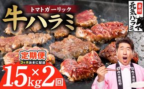 G4771 【分けて届く定期便】トマトガーリック 牛ハラミ 1.5kg（300g×5P）【牛肉 はらみ 小分け 焼肉 お弁当 BBQ 訳あり ワケアリ わけあり サイズ不揃い 規格外 全2回】
