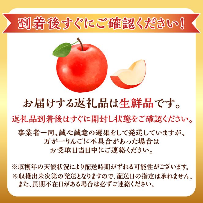 【2025年11月下旬より発送】フルーツ王国余市産訳あり「ふじ」5kg【ニトリ観光果樹園】_Y074-0154