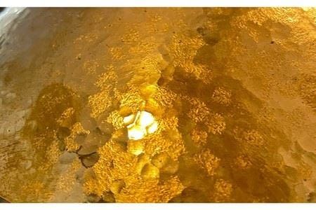 ランプシェード 300mm 《糸島》【西原佑騎】【いとしまごころ】[AFZ006]