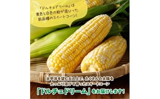 【令和7年発送】朝どれ！守部さんちのドルチェドリーム5kg【 とうもろこし スイートコーン トウモロコシ スィートコーン 令和7年発送 】 [D06402]