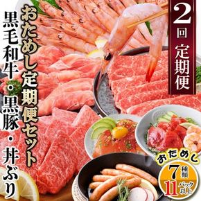 定期便2回配送　鹿児島県産黒毛和牛・黒豚・漬丼　お試し定期便セット DD-6007 【1486099】