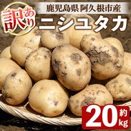 訳あり！じゃがいも ニシユタカ(20kg) 国産 鹿児島県産 阿久根市産 じゃがいも ジャガイモ 芋 ポテト にしゆたか 訳アリ 野菜 ポテトサラダ コロッケ 常温 常温配送 【慶越農園】akn107-08