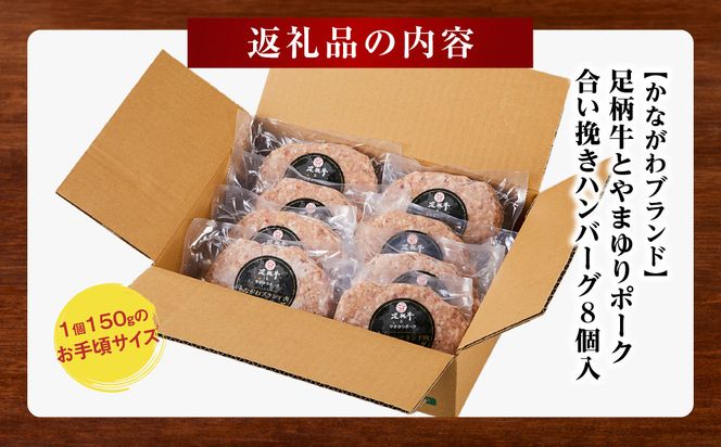 【かながわブランド】足柄牛とやまゆりポーク合い挽きハンバーグ8個入【 肉 国産  神奈川県 小田原市 】 142069_AG031
