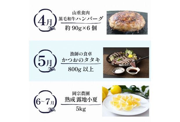 【定期便 6回】室戸まるごと定期便 こだわり産品コース かつお かつおのたたき 本マグロ 南マグロ 中トロ 干物 アジ 魚介 海鮮 ハンバーグ 黒毛和牛 定期便 6回定期便 高知県 室戸市