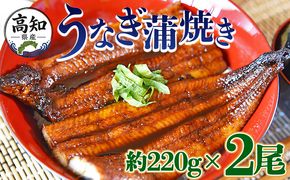 うなぎ 国産 うなぎ蒲焼き 2尾（合計約440g） 養殖 高知県産鰻 - 鰻 ウナギ かばやき 蒲焼 土用の丑の日 スタミナ 夕飯 有頭 約220g fb-0140