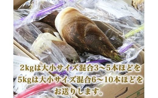 【射水市】【射水のおいしい食品】射水市黒河産 農家直送 北川さん家の たけのこ 2kg ※2026年4月下旬頃～5月中旬頃に順次発送予定 ※離島への配送不可
