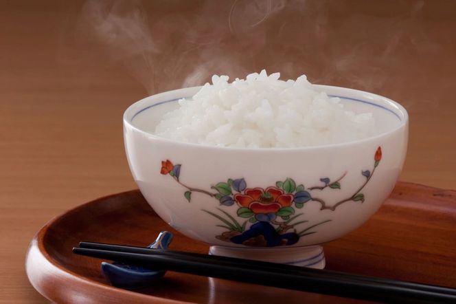 《先行予約》《2025年12月以降順次配送》 令和7年産 さがびより（精米）5㎏