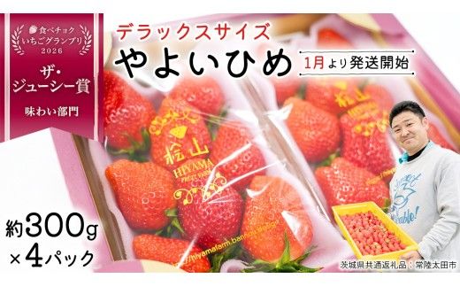 「食べチョクいちごグランプリ2026」味わい部門「ザ・ジューシー賞」受賞 やよいひめ ( 4パック ) 特大 デラックス サイズ 【 2027年1月から発送開始 】  （常陸太田市 共通返礼品 ) 約 300g × 4 パック やよいひめ ヤヨイヒメ 弥生姫 いちご 数量限定 果物 くだもの フルーツ 苺 イチゴ 期間限定