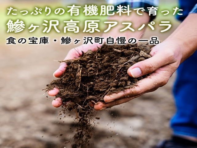 先行予約 2026年 岩木山高原 超極太 アスパラガス 約1.5kg 2L以上 5月6月発送 アスパラ 野菜 旬の野菜 産地直送 季節の野菜 春野菜 青森 青森県 鰺ヶ沢町