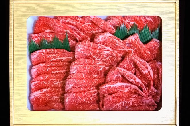 AK098 【12回定期便】長崎和牛 霜降りもも肉 スライス 400g  [ 肉 牛肉 牛モモ肉 和牛 国産 モモスライス 牛もも肉 牛 冷凍 ダイニング味遊 長崎県 島原市 ]