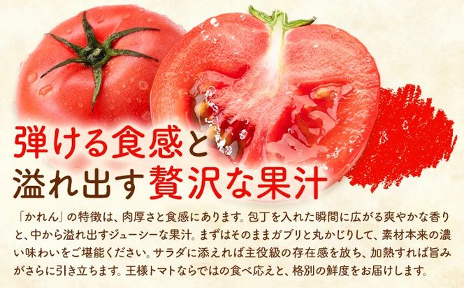 【大津アグリラボ】王様トマト かれん 訳あり 約4kg 株式会社中九州クボタ《10月上旬-6月下旬頃出荷》熊本県 大津町 トマト 野菜 訳アリ ご家庭用 傷あり サイズ 不揃い 規格外---oz_nkb_6_4kg---