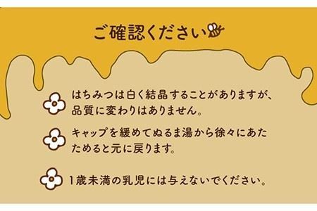 福岡 糸島産 生はちみつ ( みかん蜜 450g ) 糸島市 / 糸島二丈サクランボ農園 [AKJ001] 蜂蜜 はちみつ ハチミツ 450g 国産 非加熱 無添加 紅茶