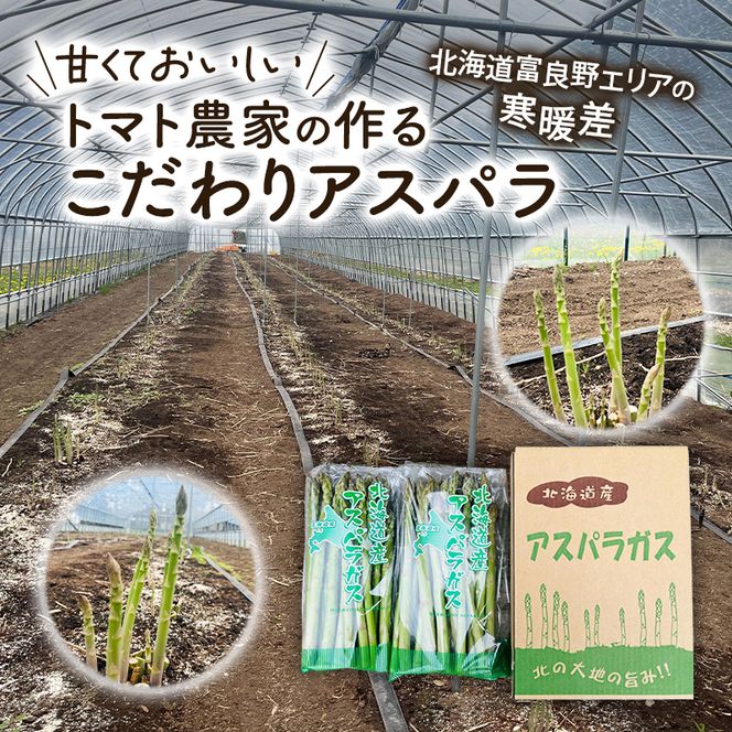 【2026年春配送】北海道南富良野町 アスパラ 1kg MLサイズ 混合 トマト農家 鳥羽農園の作る 新鮮 野菜 産地直送 甘い ジューシー ふるさと納税 送料無料