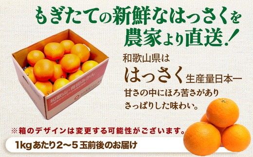 家庭用 はっさく1.5kg+250g（傷み補償分）