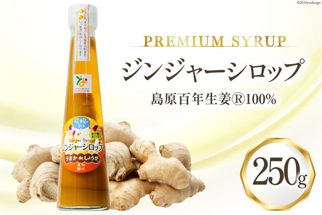 y茧szAI200 WW[ Vbv 250g 1{ [ I 傤 VEK WW[G[ WW[nC{[ {_ l 茧 s ]
