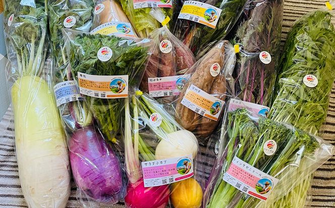 【定期便2回（夏・冬）】つかさ農園 季節のお野菜詰め合わせ（6～8種） ※北海道・沖縄・離島への配送不可