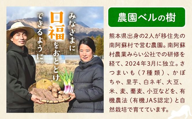 有機JAS認定 紅はるか 選べる 5kg 10kg 農園ベルの樹《12月上旬-3月下旬頃出荷》熊本県 南阿蘇村 さつまいも オーガニック 有機栽培 薩摩芋---sms_blkbhk_12j3g_r7_11500_5kg---