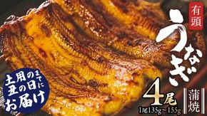 鹿児島県産 有頭 鰻 蒲焼 × 4尾 （ 1尾 135g ～ 155g 以上）【 数量限定 寄附額 28000円 → 25000円 】 うなぎ ウナギ 土用丑の日 家庭用 贅沢 国産 旬 敬老の日 タレ 山椒 付 縁起 土用の丑の日 鰻祭り [DQ008us]