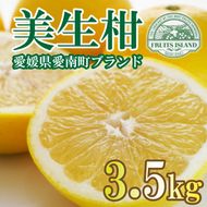 フルーツアイランド・マルエム青果の美生柑(みしょうかん) 3.5kg (なくなり次第終了)