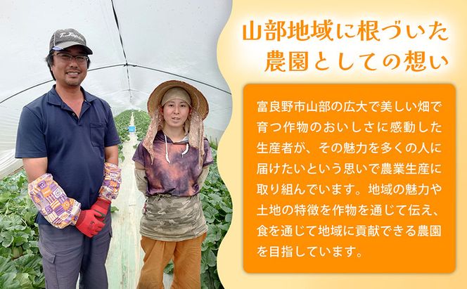 【秋の味覚 北海道産 カボチャ】特濃こふき 無選別 5kg×2箱｜北海道富良野市 9～10月発送 野菜 しっとり ホクホク 濃厚 甘い 濃橙果肉 黒皮カボチャ かぼちゃ こふきかぼちゃ 南瓜 料理用 煮物 贈答用 秋季限定
