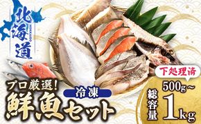 【12/21まで年内お届け】プロ厳選 北海道産 天然 鮮魚セット ＜冷凍＞ 500g～1kg　鮮魚ボックス 詰め合わせ 刺身 下処理 切り身 料理に 人気 ヒロセ 産地直送 魚介 海鮮セ 年内配送 年内発送 北海道 釧路町 釧路超 特産品　121-1262-142-004