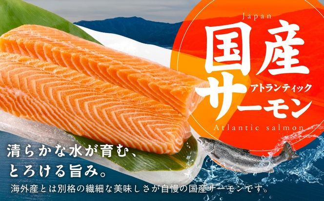 nbj0010 国産アトランティックサーモン 500g ポーション【小分け 真空パック 訳あり サイズ不揃い 刺身 海鮮丼 さーもん 鮭 さけ シャケ しゃけ 冷凍】